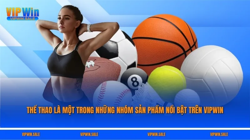 Thể thao là một trong những nhóm sản phẩm nổi bật trên VIPWIN